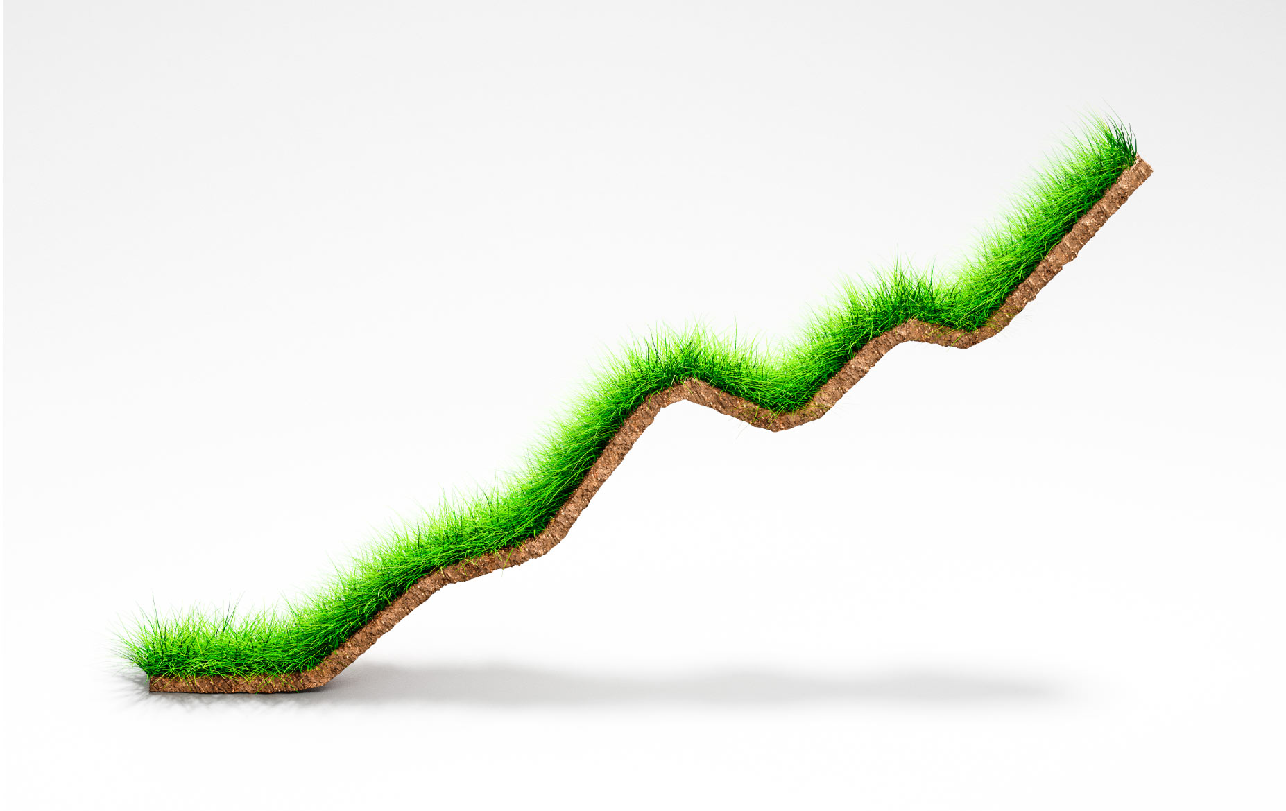 green grass in the form of a graph