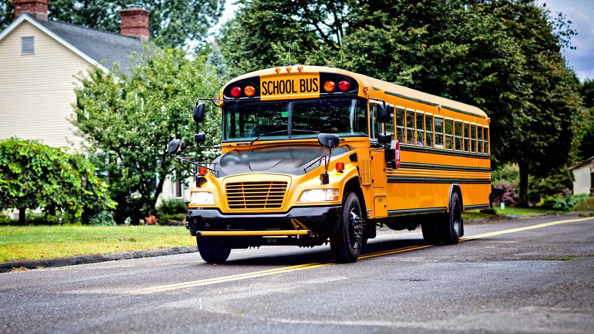 school bus driving in a suburban neighbourhood