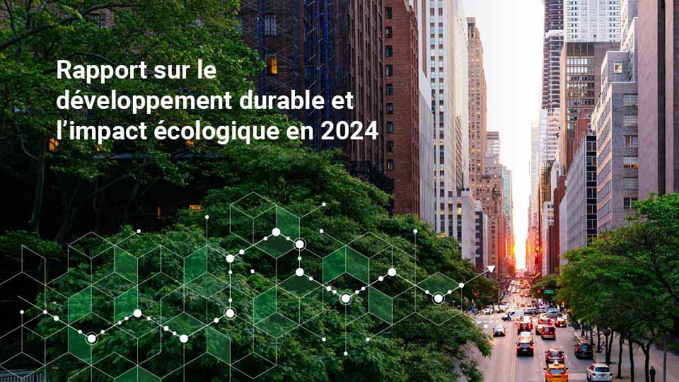 rapport developpement durable