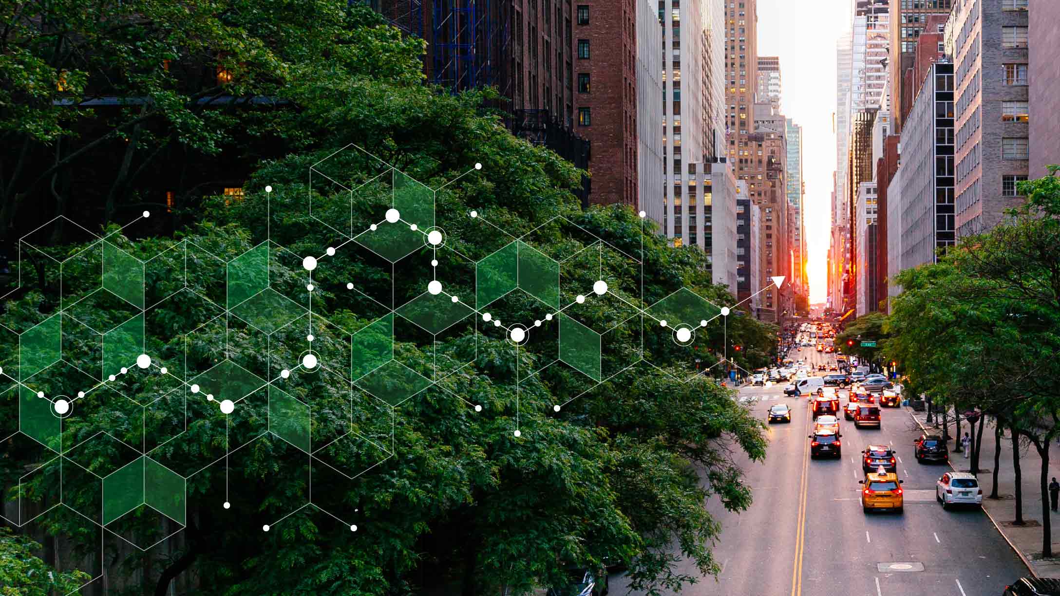 vista di città con vegetazione in primo piano 