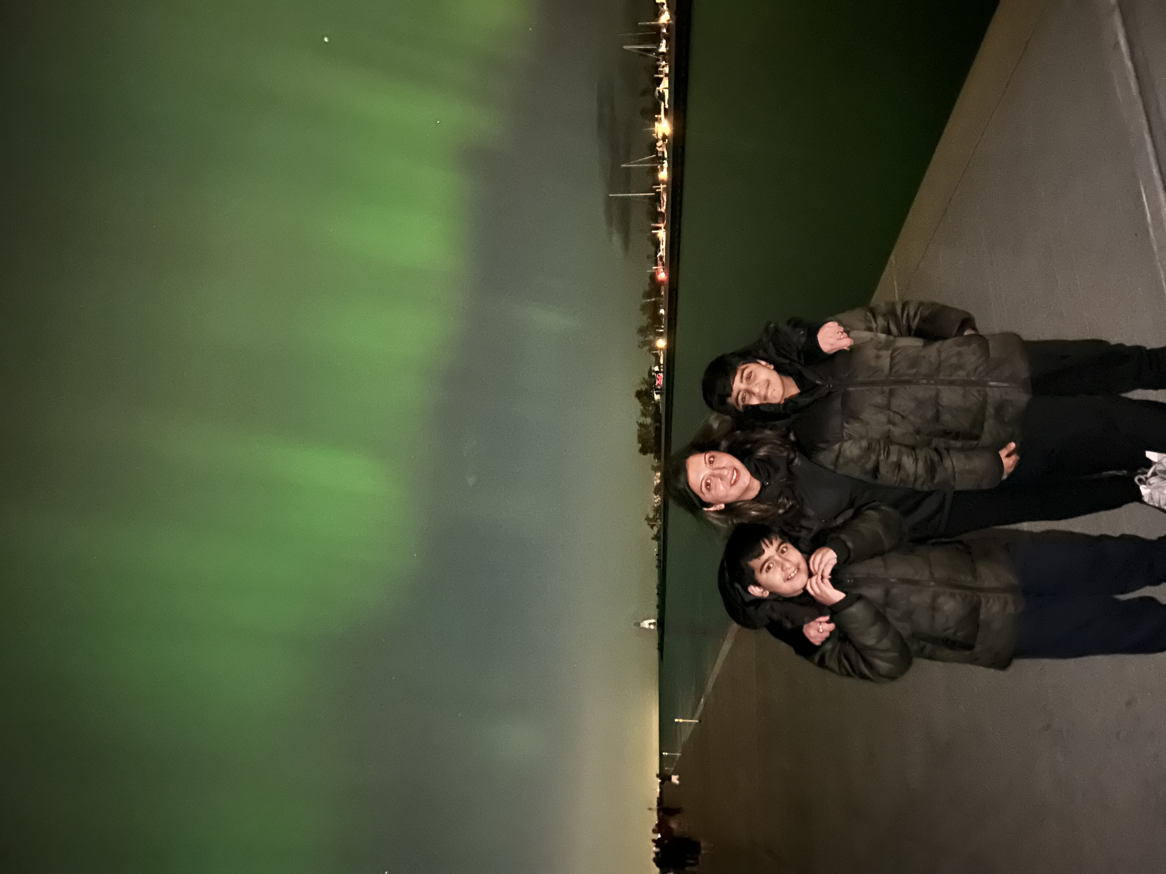 Aniesha Chugh, Geotab Recruitment team