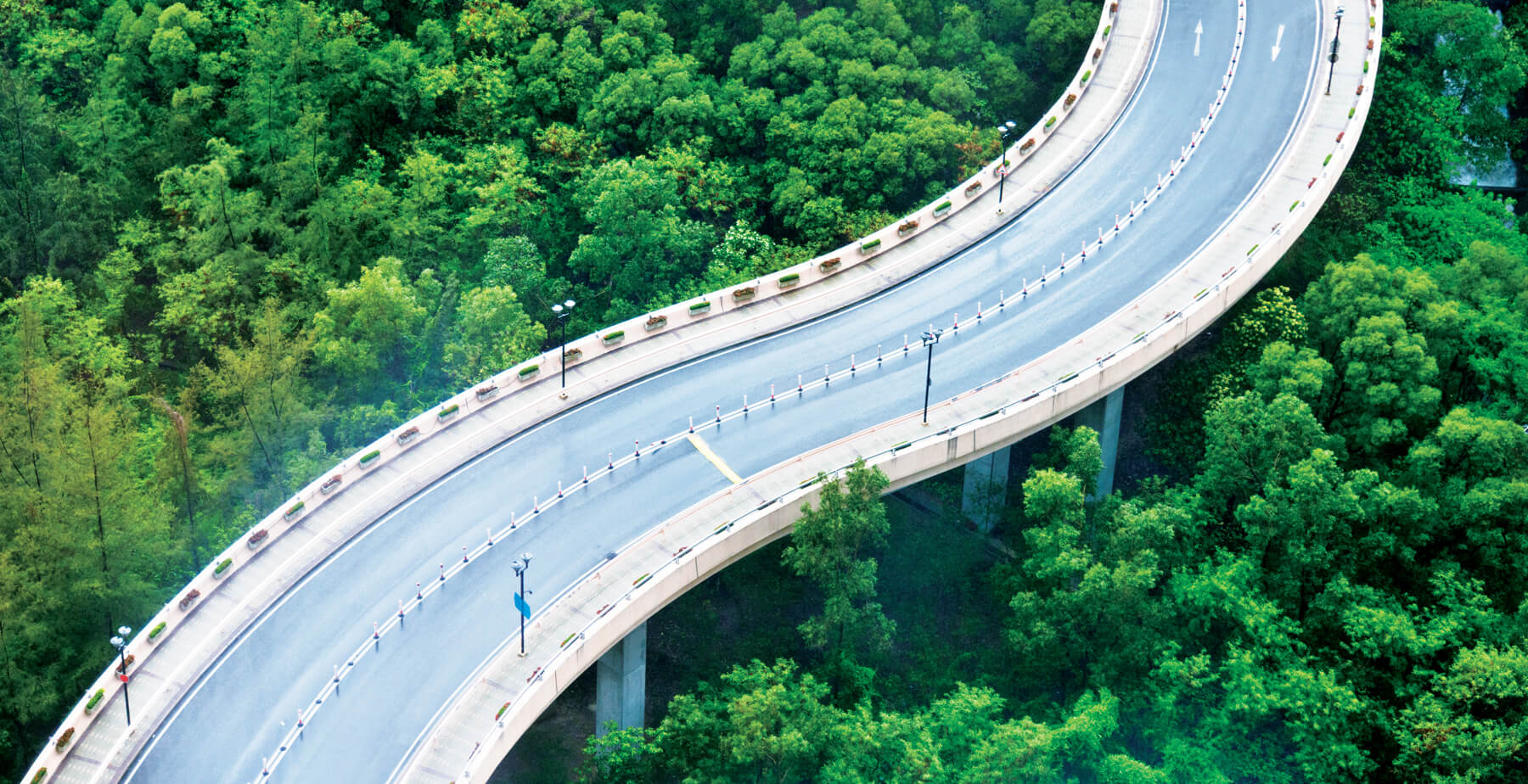 Vogelperspektive einer Straße umgeben von einem Wald.