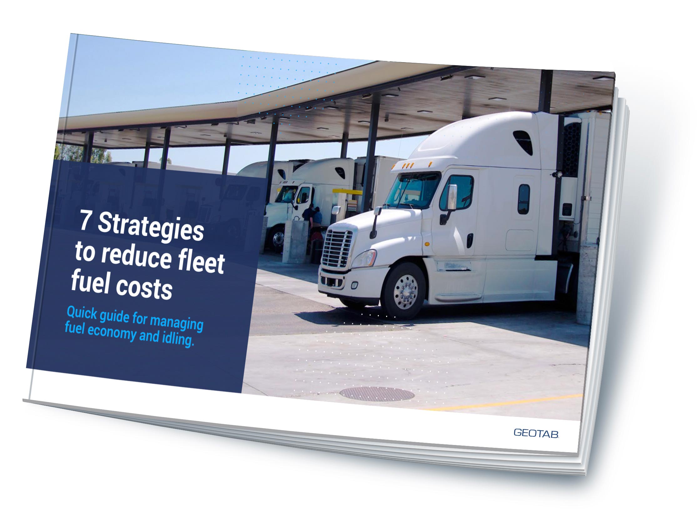 This is placeholder Alt Text